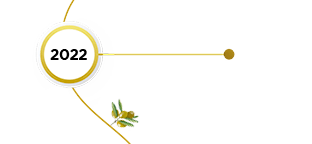 extranjero
